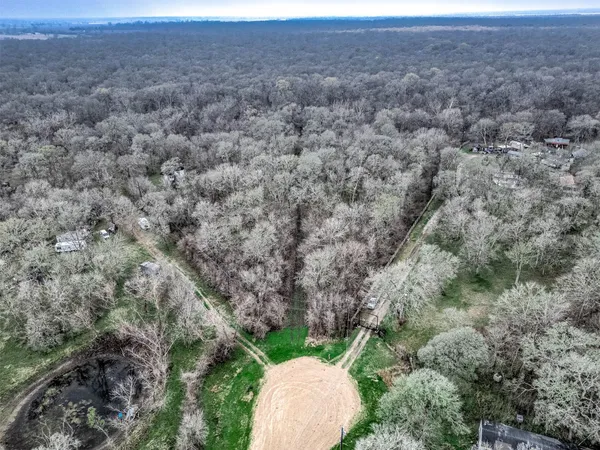 a view of a dry yard with large trees