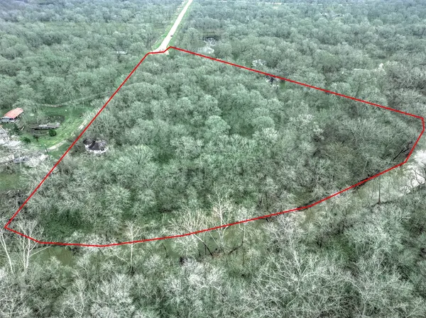 a view of a field with a plant in the background
