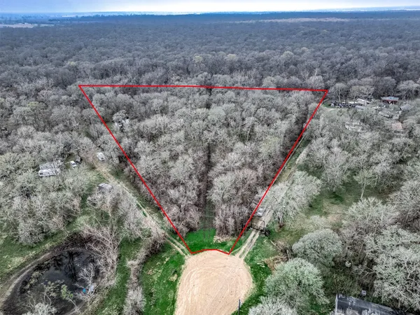 a view of a dry space with lots of trees