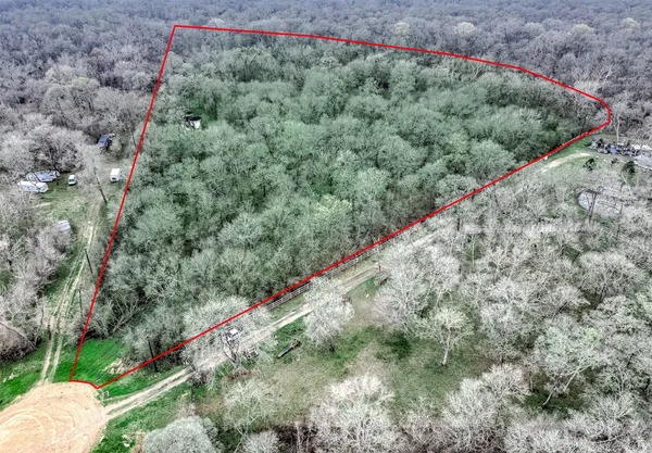 a view of a lush green forest with a lake