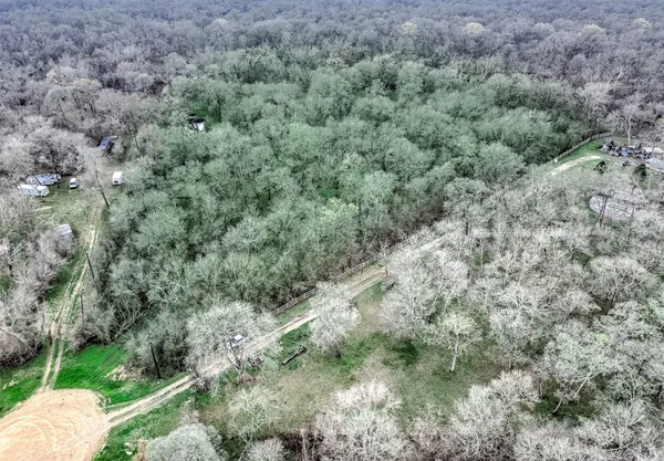 a view of a forest with trees and houses
