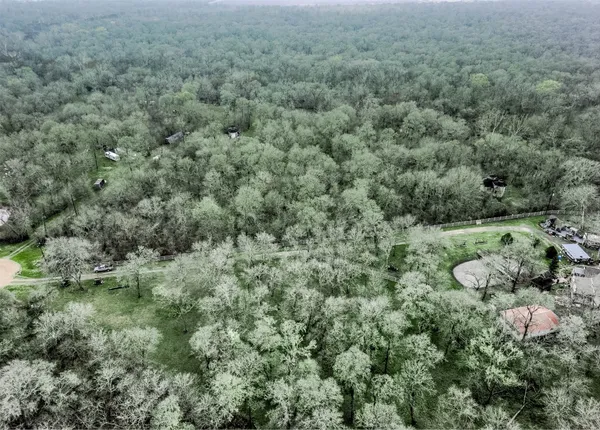 a view of a forest with a sink