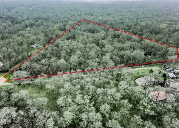 a view of a field with flowers