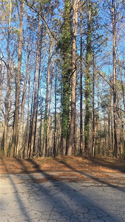 4440 Susans Way Snellville, GA 30039 - Photo 4 of 6