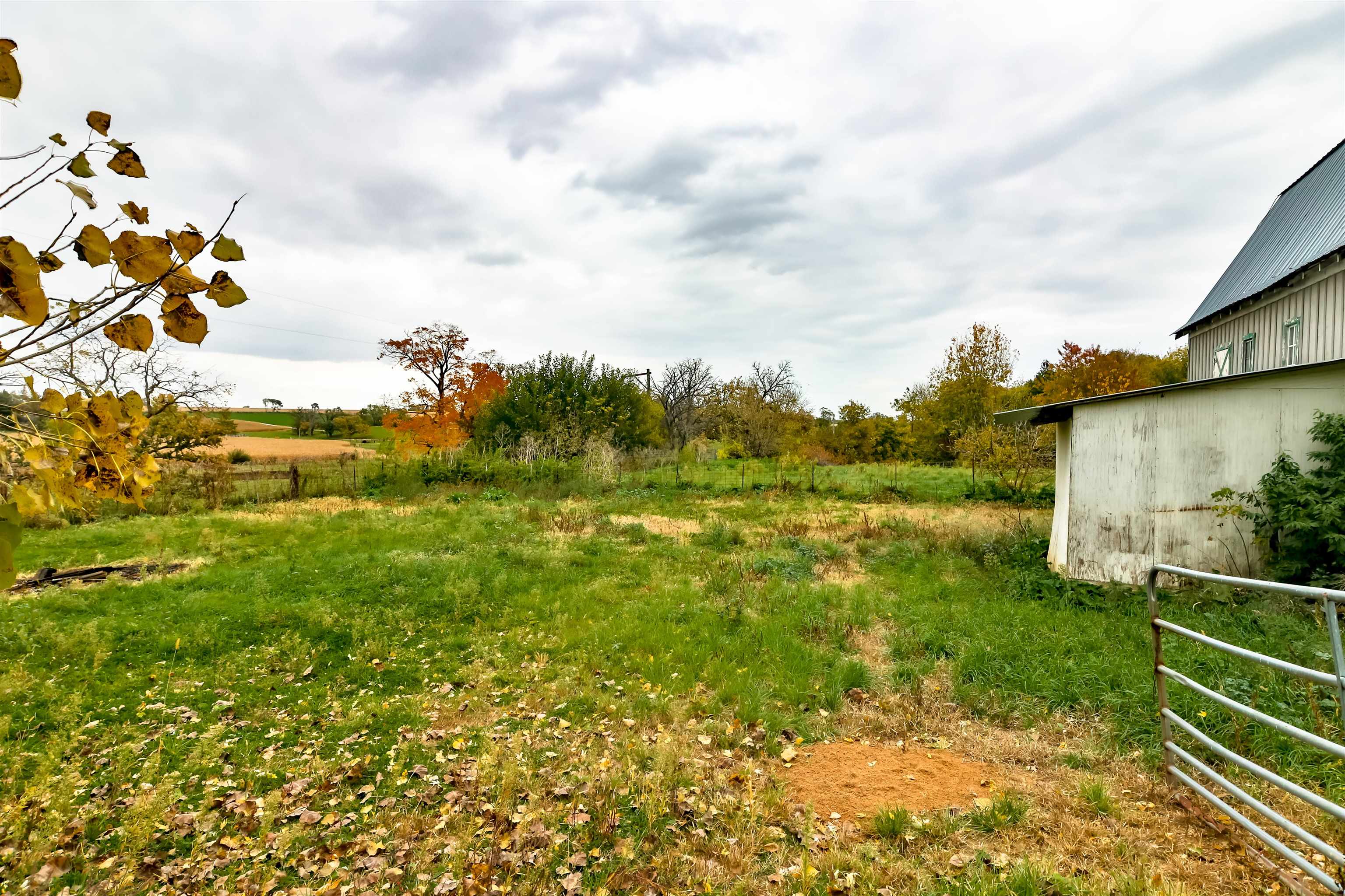 7719 West Coffman Road German Valley, IL 61039 - Photo 7 of 38 a view of a yard