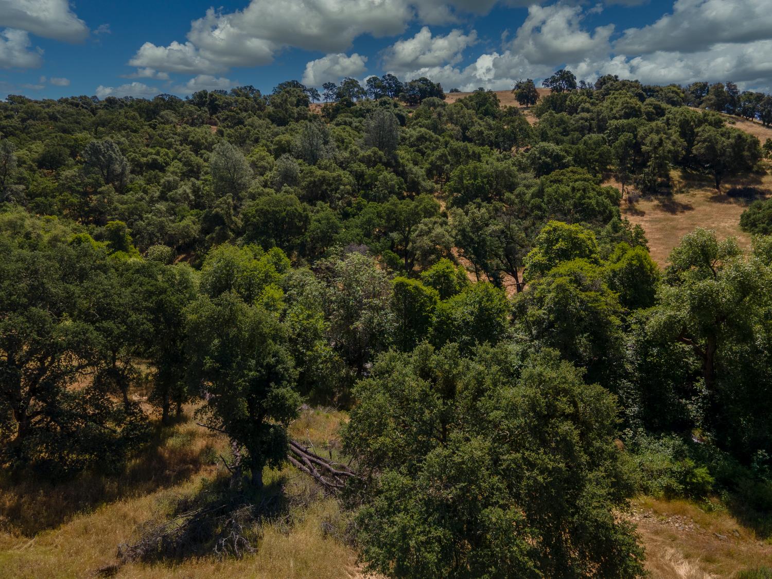 0 Stony Creek Road Ione, CA 95640 - Photo 60 of 70