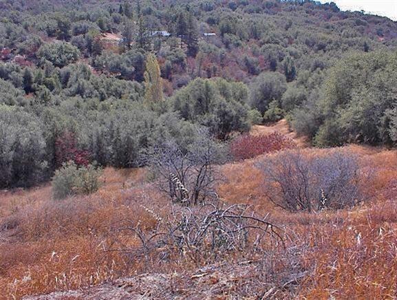 50066 Chuckwagon Road Squaw Valley, CA 93675 - Photo 11 of 12 Gallery Image 11