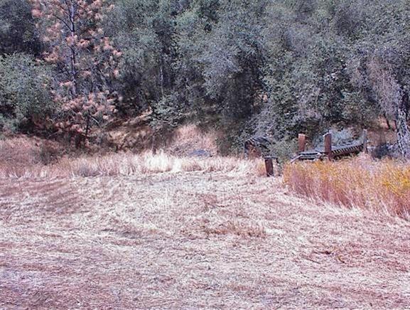50066 Chuckwagon Road Squaw Valley, CA 93675 - Photo 6 of 12 Gallery Image 6