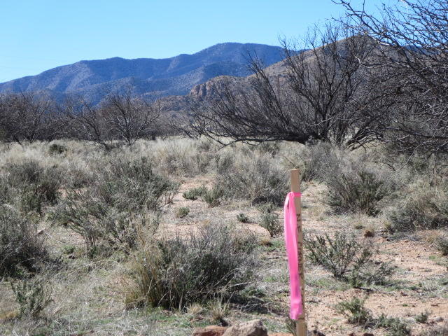 2.18-ac North Desert Road, Unit 1&2 Pearce, AZ 85625 - Photo 2 of 17