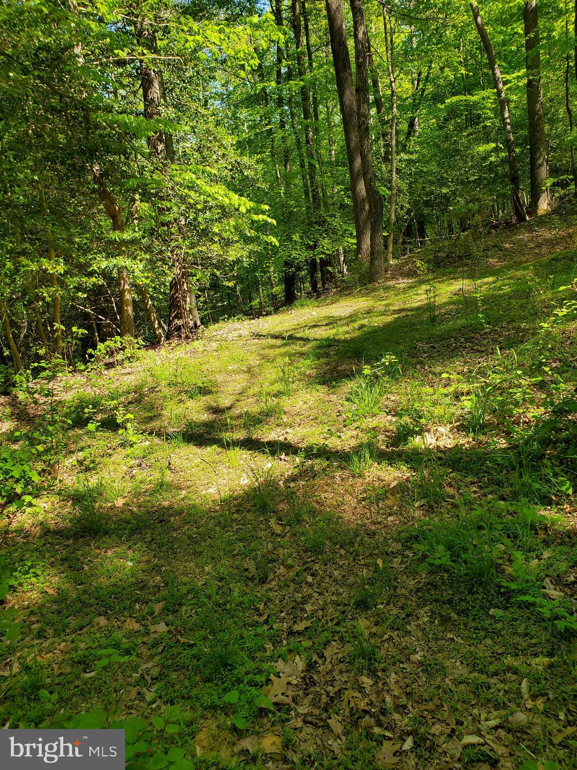 3919-3915 Hunting Creek Road Huntingtown, MD 20639 - Photo 4 of 5