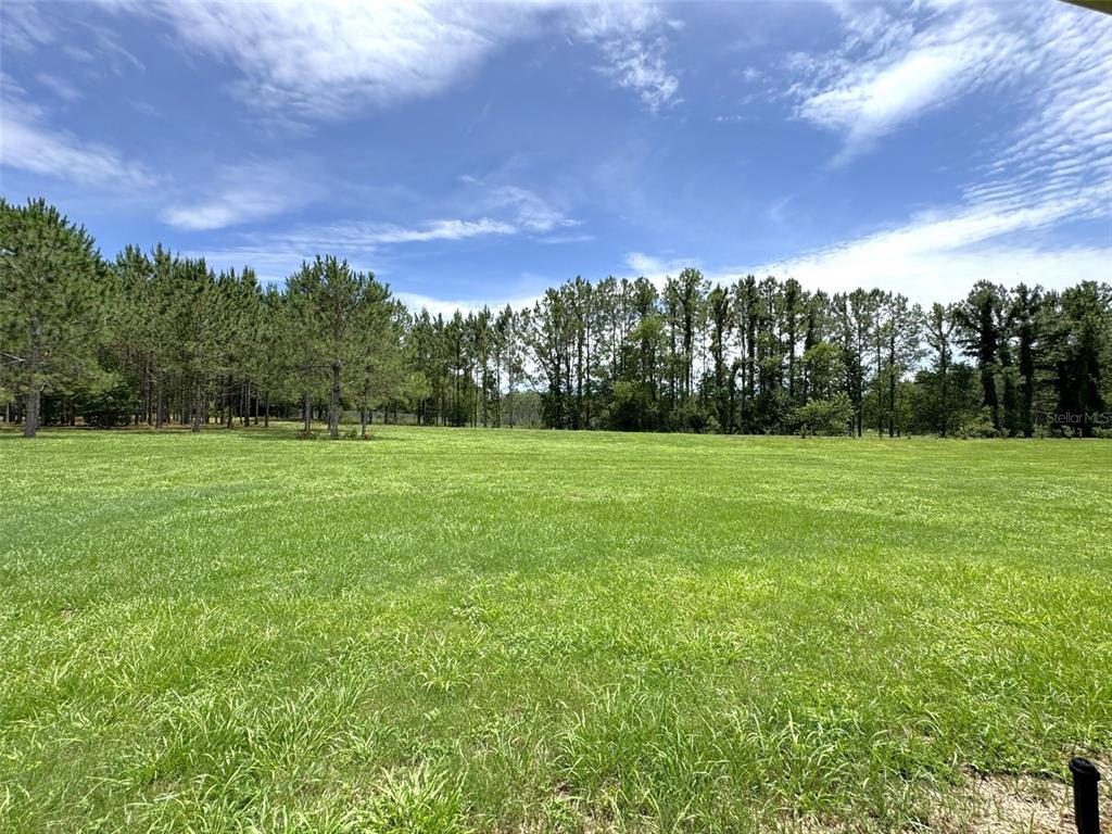 1724 East Gate Dancer Circle Inverness, FL 34453 - Photo 28 of 30