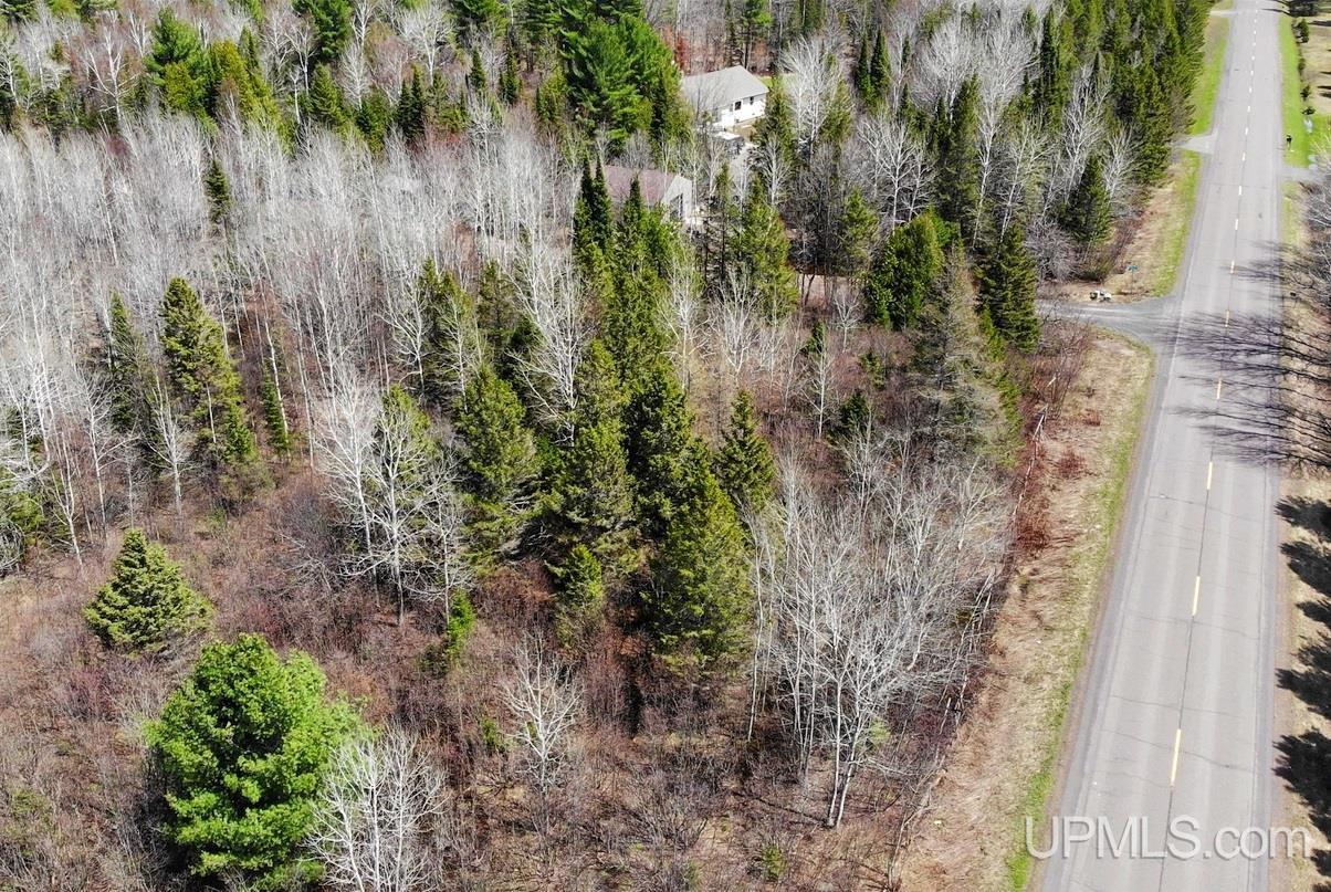 Tbd167 Liminga Road Houghton, MI 49931 - Photo 4 of 13 Gallery Image 4
