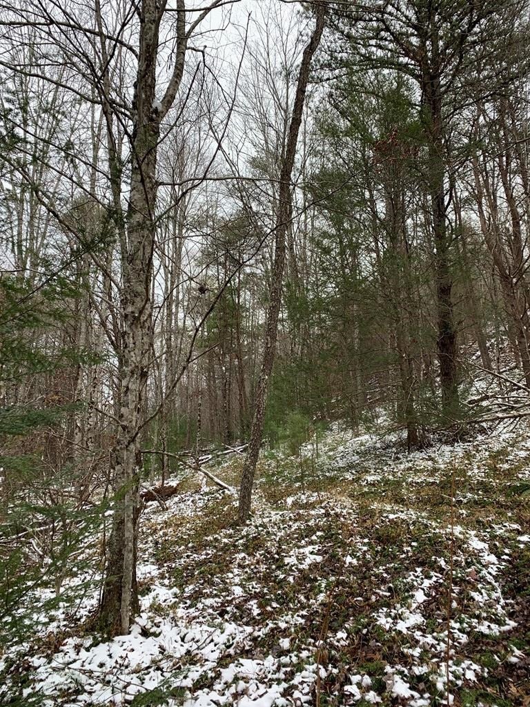 Tbd Tbd Grapefield Road Bastian, VA 24314 - Photo 30 of 39 Gallery Image 30