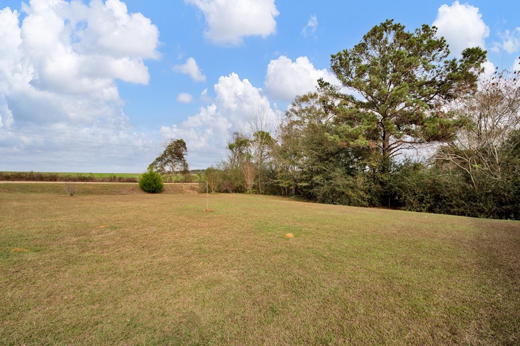 1008 Lynn Jarvis Road Dothan, AL 36303 - Photo 4 of 31