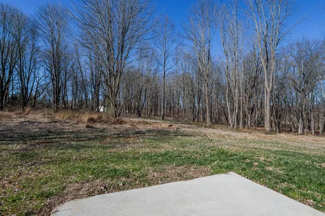 a view of backyard with green space