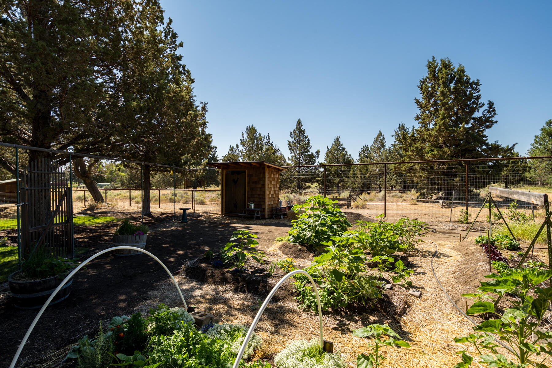 62860 Dickey Road Bend, OR 97701 - Photo 28 of 37 JH5_3767