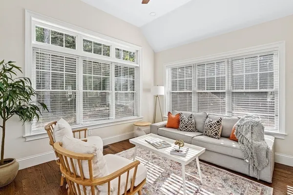 a living room with furniture and a potted plant