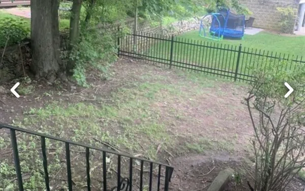 $3,500 | 55 Elgin Street, Unit 55, Newton, MA 02459