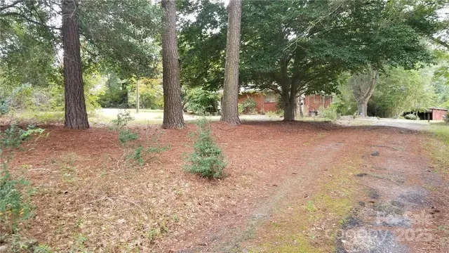 a view of a yard with trees