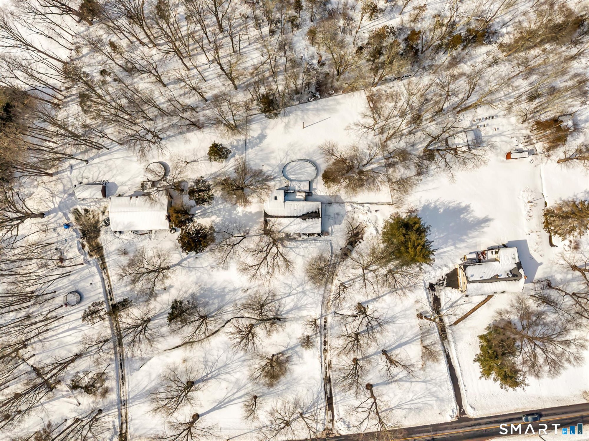 147 Tuttle Road Durham, CT 06422 - Photo 27 of 38 a picture of trees