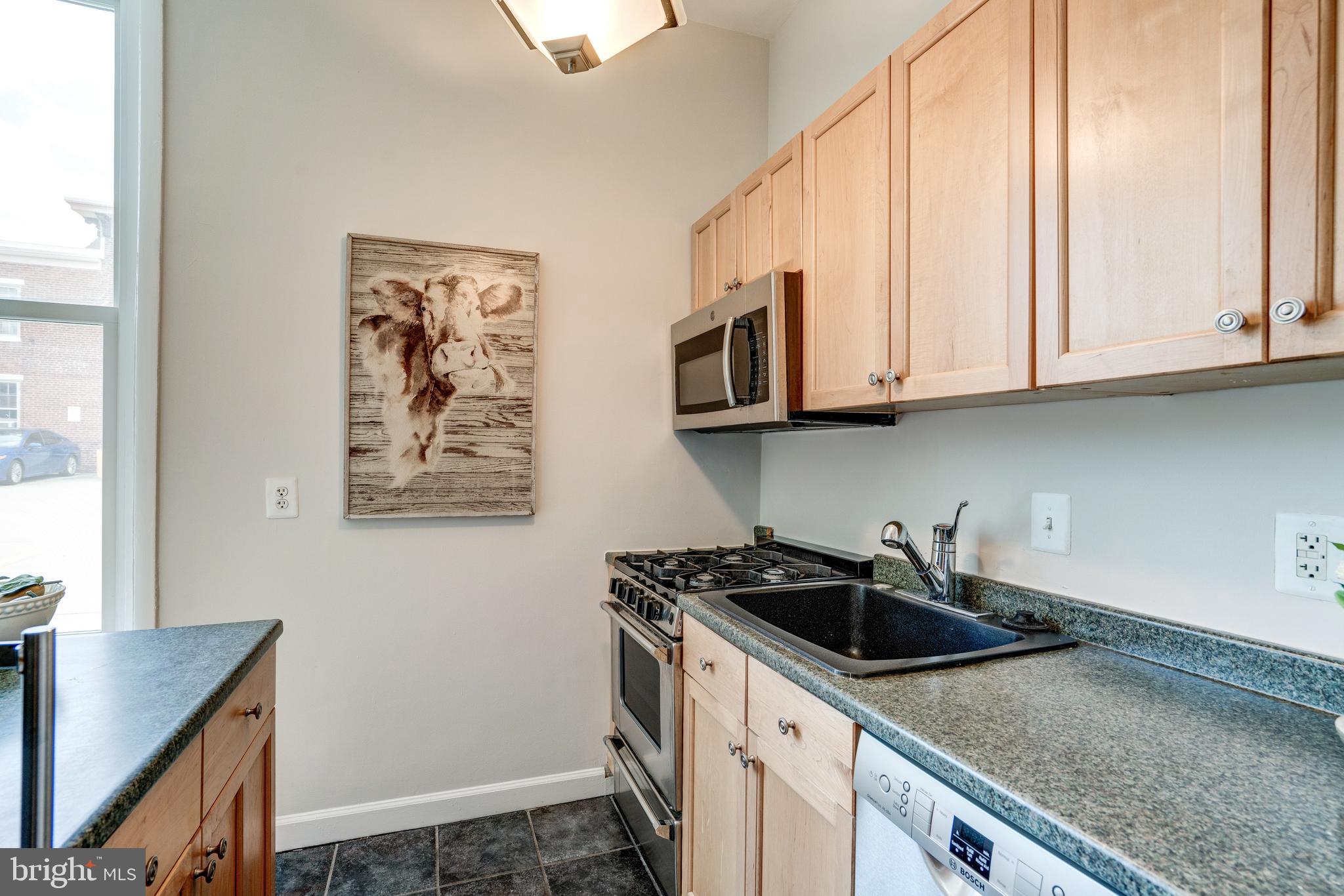 333 2nd Street Northeast, Unit 204 Washington, DC 20002 - Photo 6 of 17