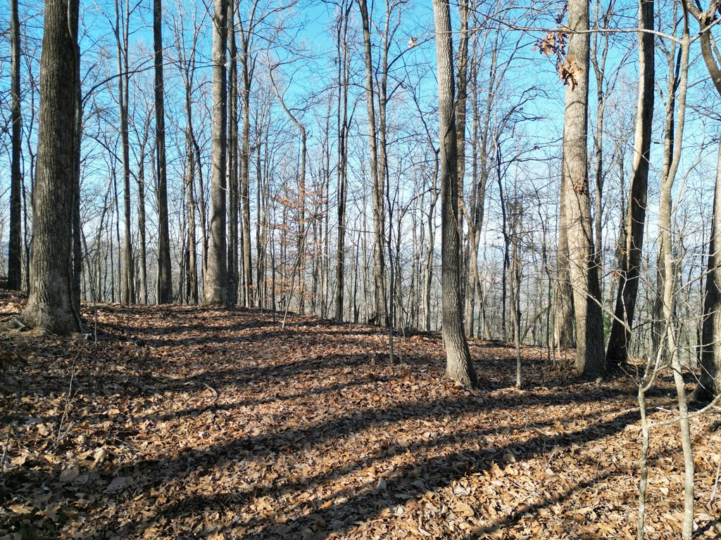 20.05-ac Treehouse Trail Murphy, NC 28906 - Photo 10 of 14