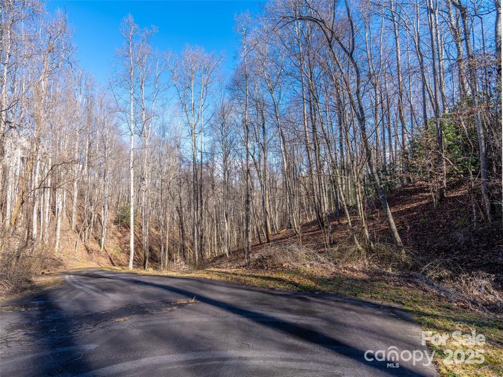 19-20 Riva Ridge Drive, Unit 26/34 Fairview, NC 28730 - Photo 3 of 15