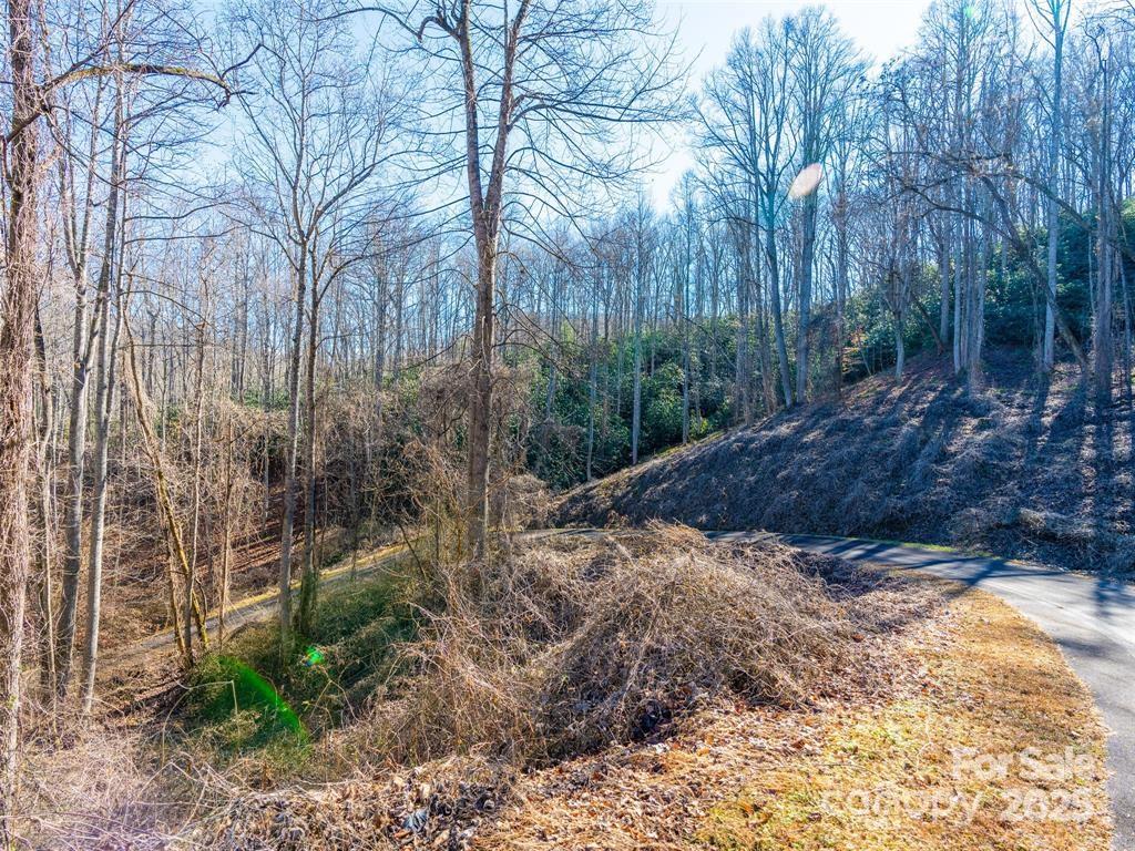 19-20 Riva Ridge Drive, Unit 26/34 Fairview, NC 28730 - Photo 7 of 15