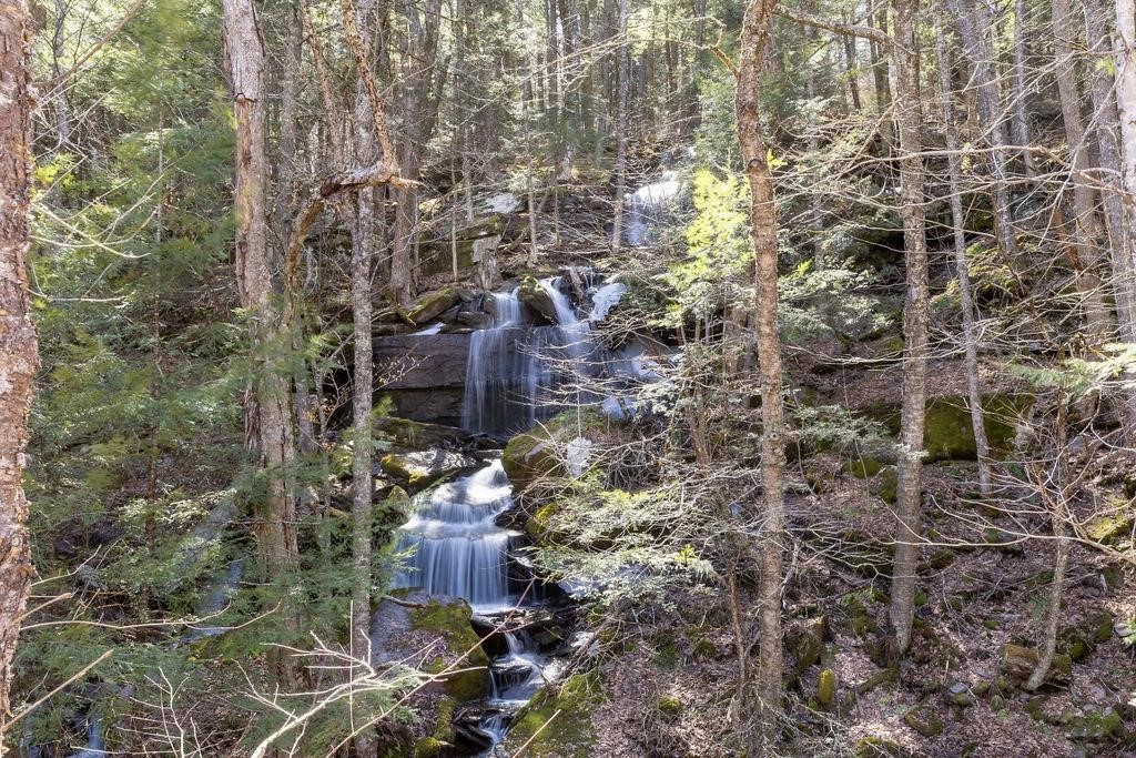 Hill Road Halcottsville, NY 12438 - Photo 7 of 15 Gallery Image 7