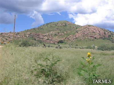 1 Lot On Stronghold & Palm Road Cochise, AZ 85606 - Photo 7 of 8