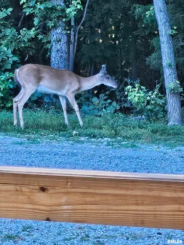 $600,000 | 5504 Marion Road, Metropolis, IL 62960