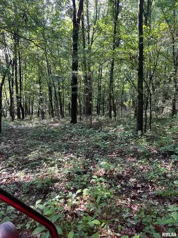 $600,000 | 5504 Marion Road, Metropolis, IL 62960