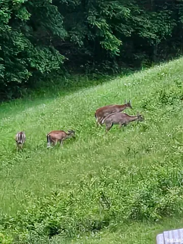 $600,000 | 5504 Marion Road, Metropolis, IL 62960