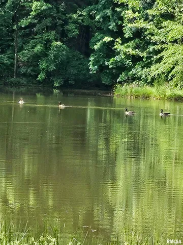 $600,000 | 5504 Marion Road, Metropolis, IL 62960