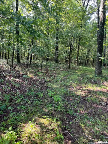 $600,000 | 5504 Marion Road, Metropolis, IL 62960