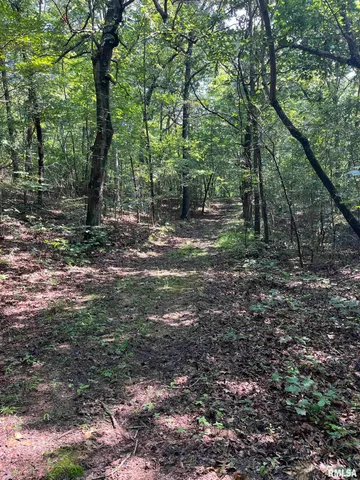 $600,000 | 5504 Marion Road, Metropolis, IL 62960