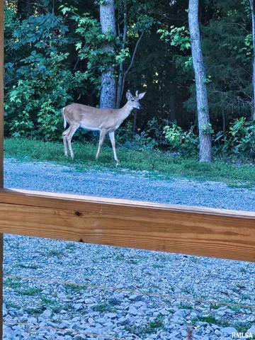 $600,000 | 5504 Marion Road, Metropolis, IL 62960