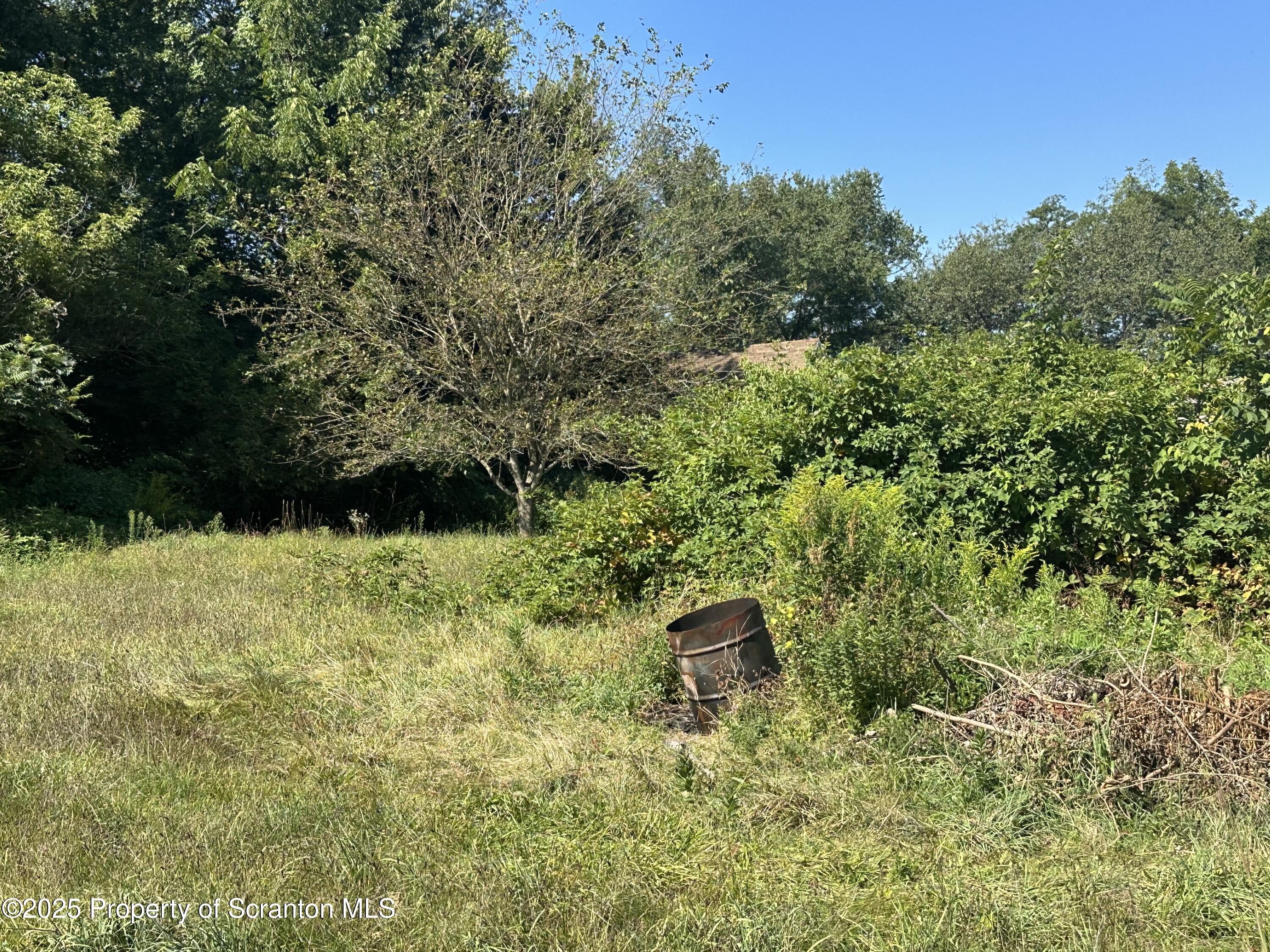 3061-3065 Main Street Clarks Summit, PA 18411 - Photo 30 of 34 a backyard of a house with lots of green space