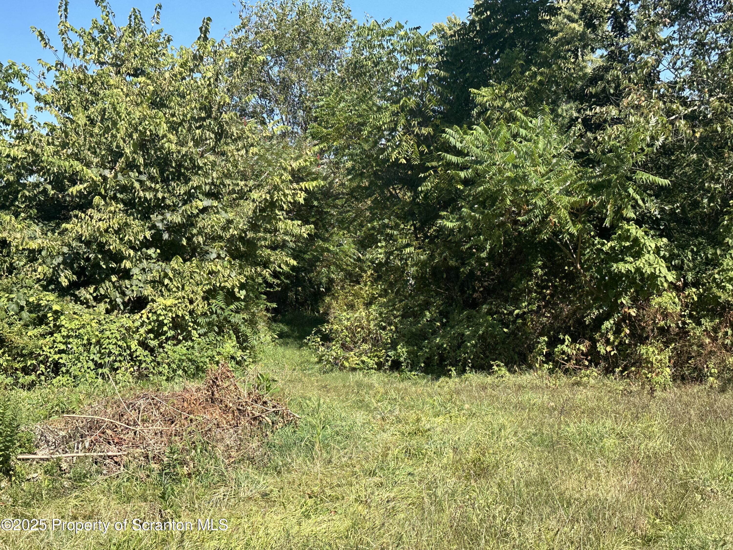 3061-3065 Main Street Clarks Summit, PA 18411 - Photo 31 of 34 a view of a yard