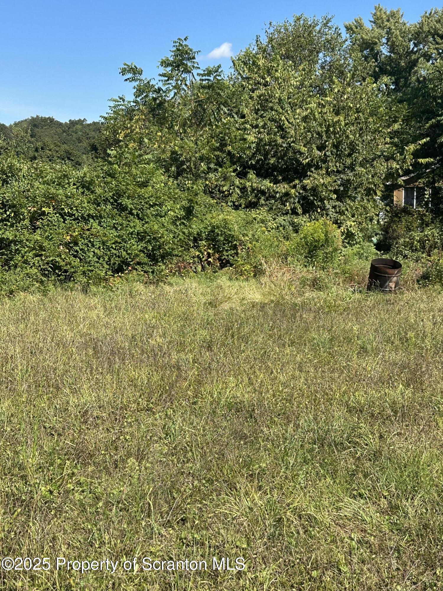 3061-3065 Main Street Clarks Summit, PA 18411 - Photo 32 of 34 a view of a large yard with lots of green space