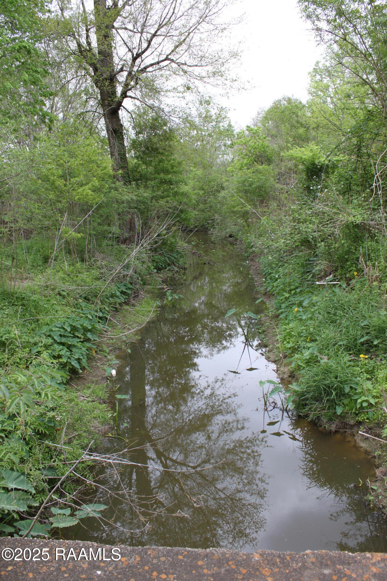 0 Pershing Highway Sunset, LA 70584 - Photo 6 of 12 IMG_7268