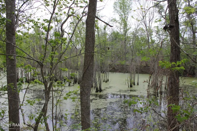 $75,000 | 0 Pershing Highway, Sunset, LA 70584