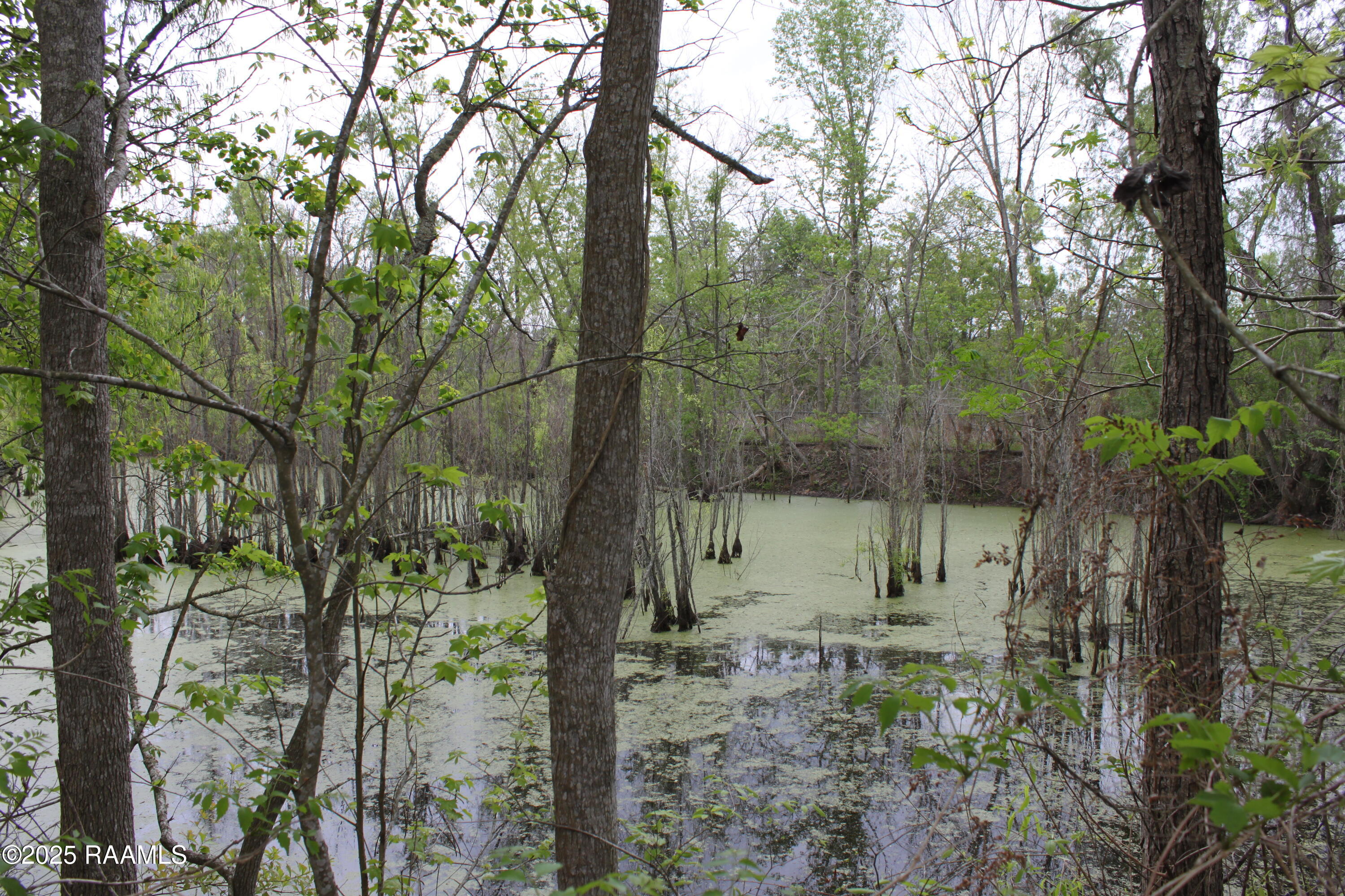 0 Pershing Highway Sunset, LA 70584 - Photo 9 of 12 IMG_7275