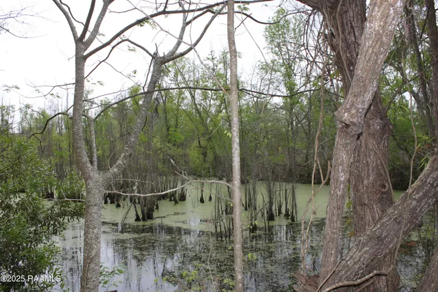 $75,000 | 0 Pershing Highway, Sunset, LA 70584