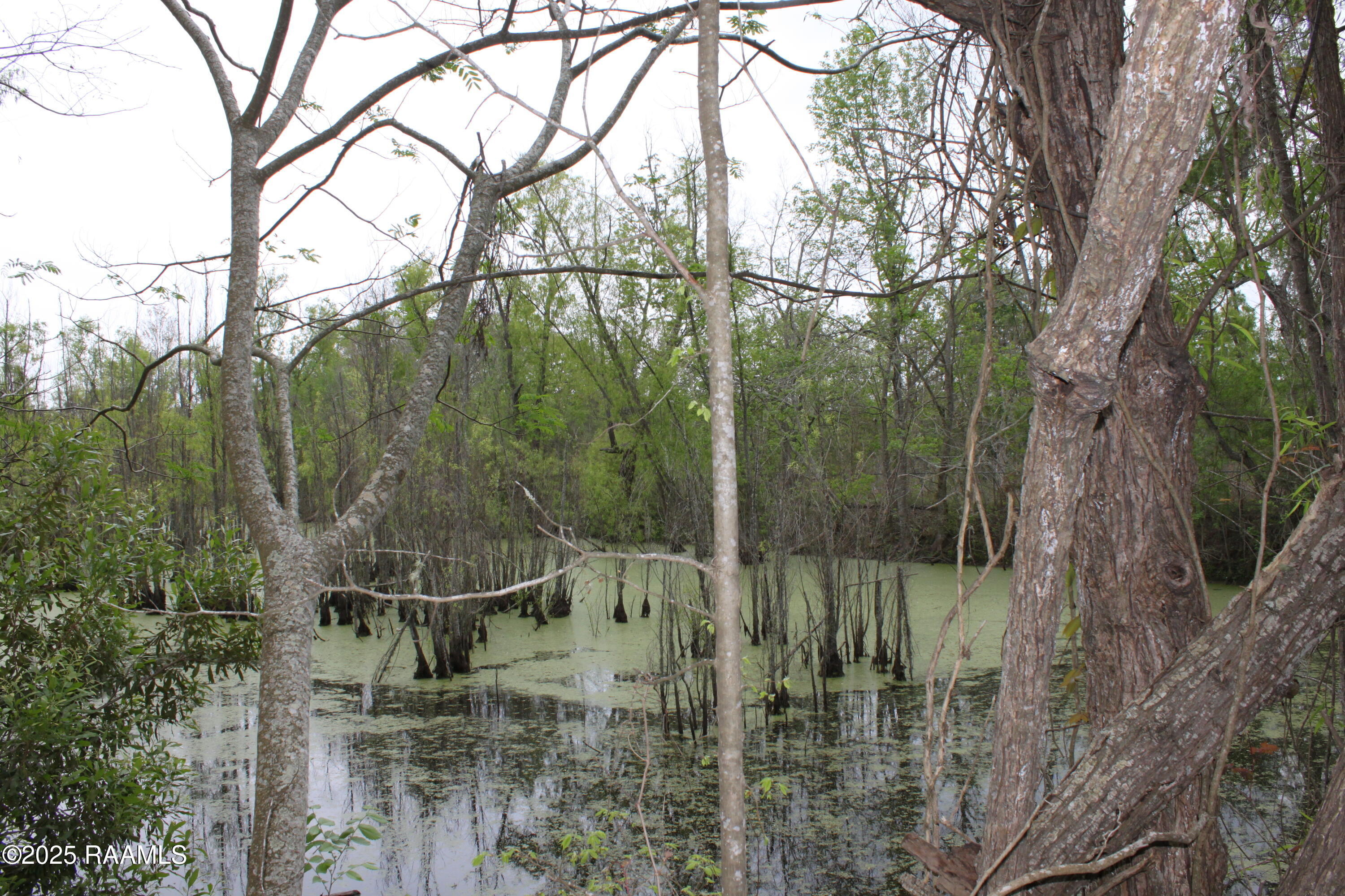 0 Pershing Highway Sunset, LA 70584 - Photo 10 of 12 IMG_7276