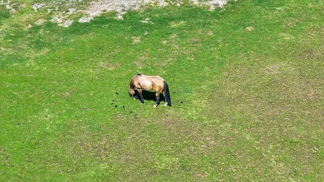 $1,625,000 | 20603 Longridge Court, Groveland, CA 95321