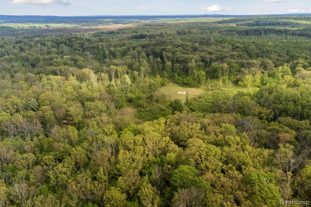 0 Oak Ridge Circle Road Mio, MI 48647 - Photo 6 of 13