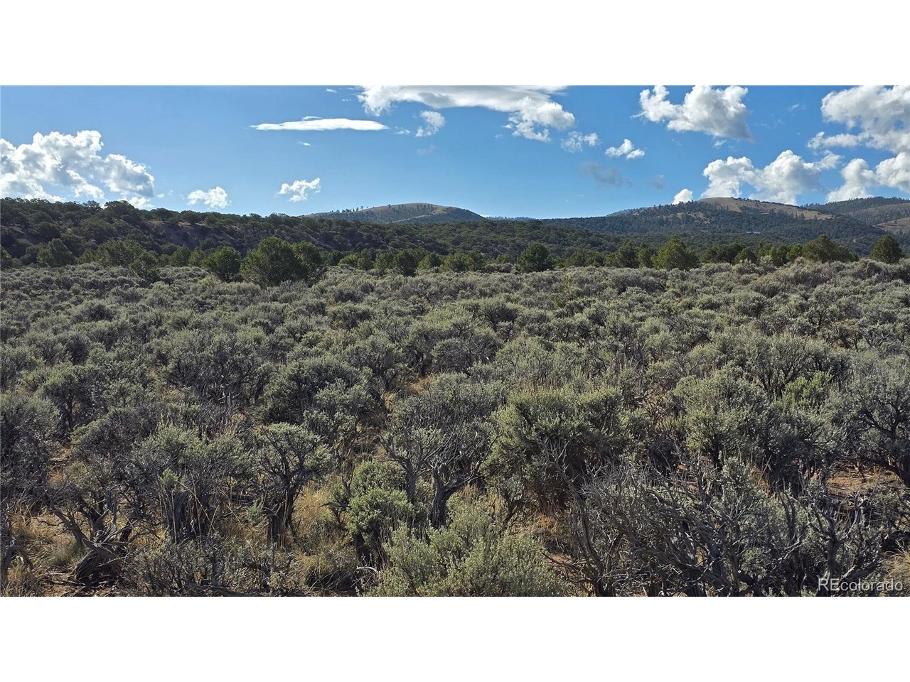 7340 Sweany Road Fort Garland, CO 81133 - Photo 27 of 31