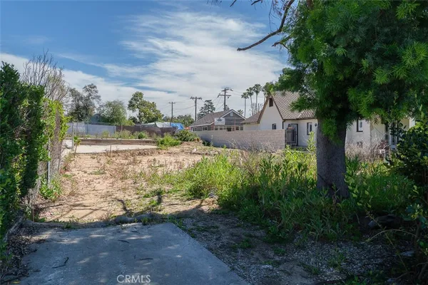 a view of a yard with plants and a bench