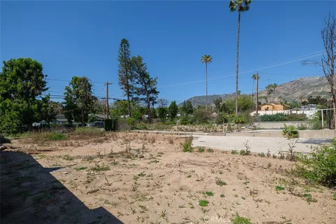 a view of a yard with a tree